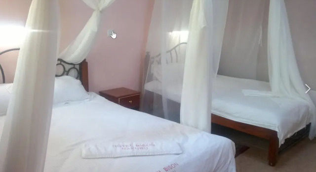 Hotel Bison Nakuru