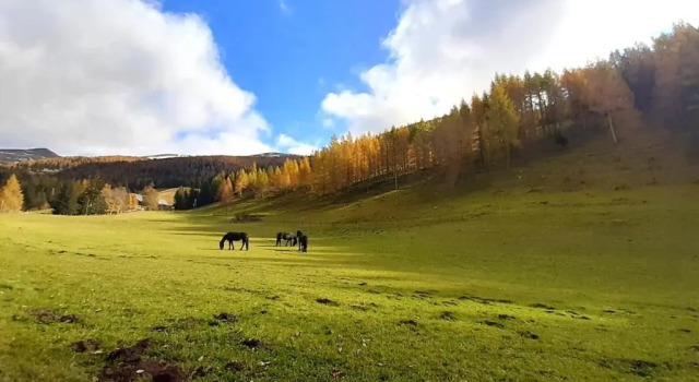 Шале Chalet Verdino