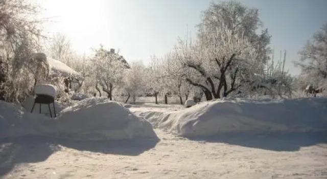 Piiri Holiday House, Rezervați Hotel Hoteluri în Otepaa Ski cu parcare, Parcare