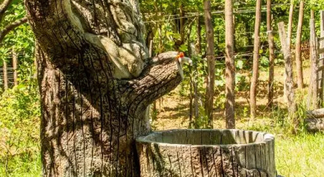 Eco Cottage, Rezervovat Rekreační dům Chaty v Imereti, Chalupa