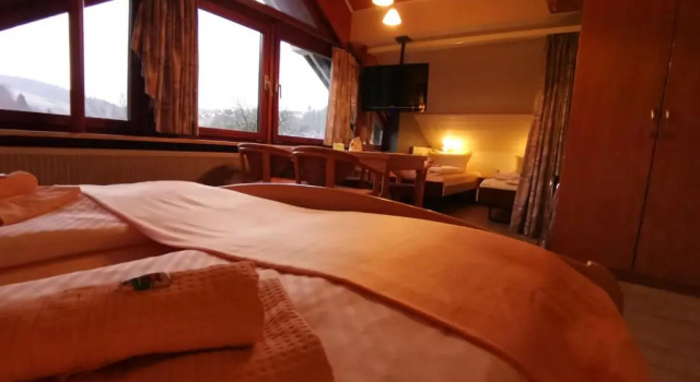 Трёхместный номер Standard Hotel zur Schmiede