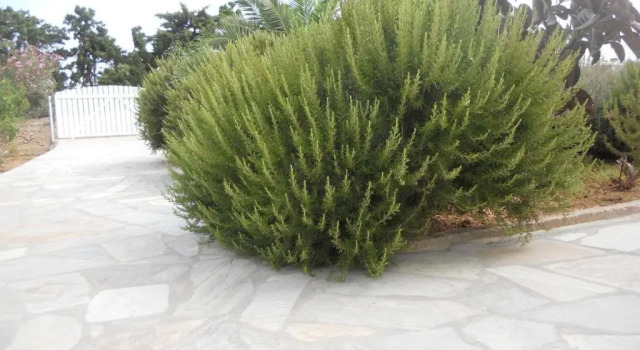 Villa Kampos Paros, Prenota Villa Pounda Paro