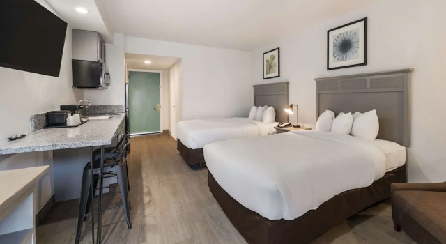 Четырёхместный номер Standard Suburban Studios Williamsburg Central
