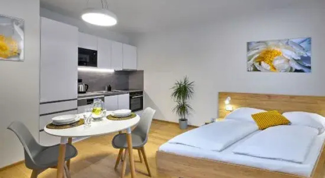 Monolocale Superior DownTown Suites Andel