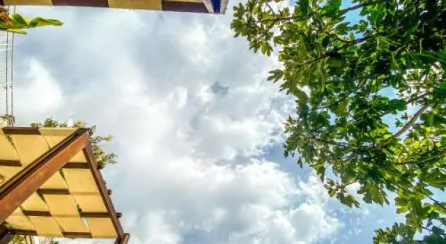 Apartments Secret Garden, Забронировать Апартаменты/квартира Апартаменты Улцинь, рядом с Старый город Улцинь, Апартаменты/квартира