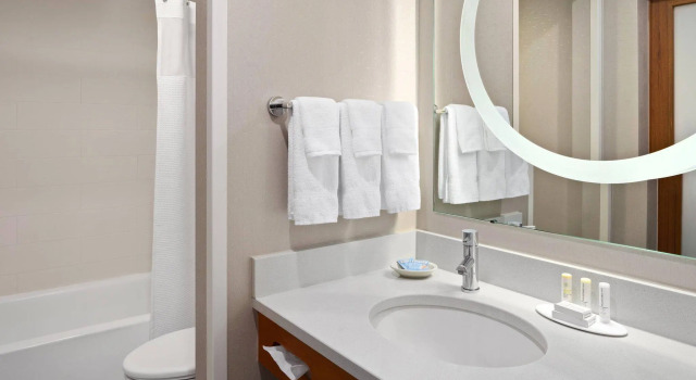 Двухместная студия SpringHill Suites by Marriott Flagstaff