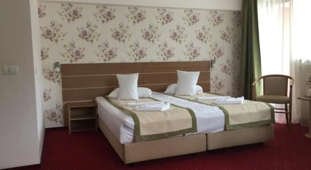 Люкс Hotel Carpați