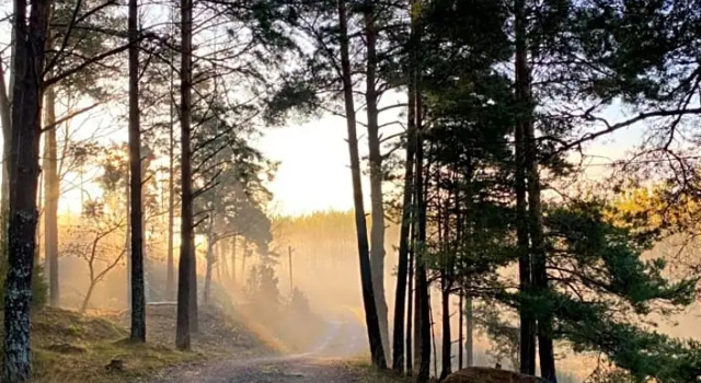 Stubbhuggets Lillstuga, Reservar Hotel Trosa Sodermanland