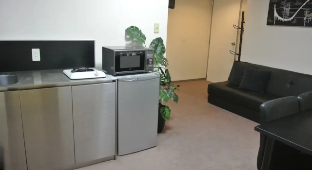 Люкс с 2 комнатами Hakuba Echo Hotel and Apartments