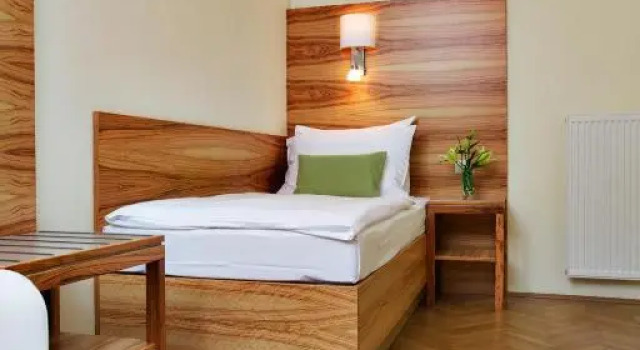Одноместный номер Economy Hotel Wandl