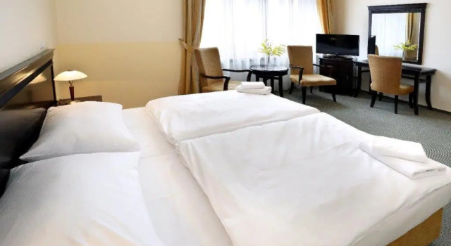 Двухместный номер Standard Hotel U Zeleneho stromu