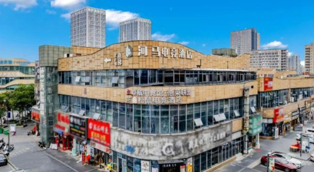 Wuhu Hippo E-sports Hotel (University Town)