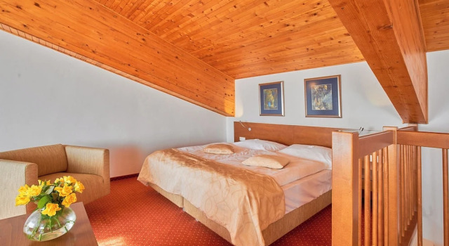 Номер Presidential Hotel Stupka