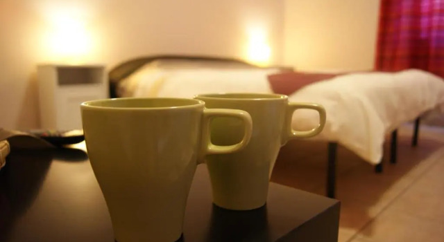 Трёхместный номер Standard Vegan Inn Airport