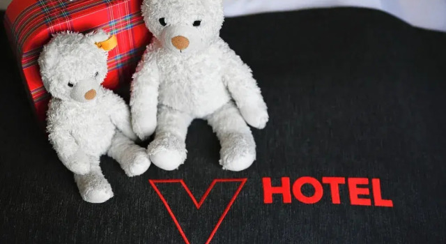 Семейный номер Standard с балконом V-Hotel