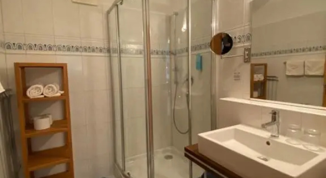 Номер Standard Apart-Pension Wesenauerhof