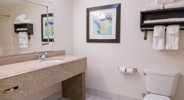 Двухместный номер Standard Holiday Inn & Suites Syracuse Airport - Liverpool by IHG