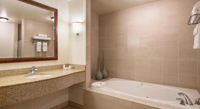 Люкс Hilton Garden Inn West Edmonton
