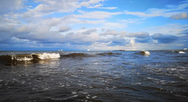 Студия 2Sopot, Studio Błękitny Wieloryb przy plaży, molo, idealny dla podróżników