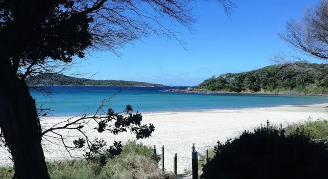 Seafaring at Fingal Bay
