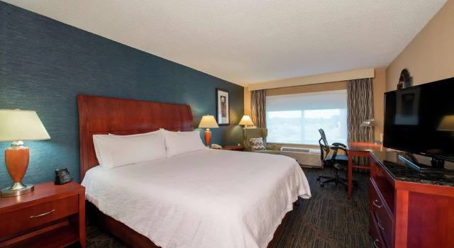 Двухместный номер Premium Hilton Garden Inn Tupelo