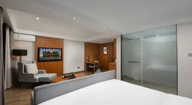 Двухместный люкс Business Jingyue Boutique Hotel
