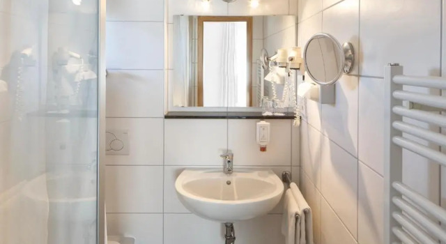 Трёхместный номер Standard Hotel Schwärs Löwen Freiburg