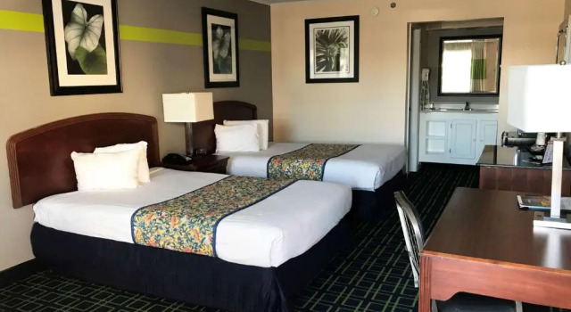 Номер Business Magnuson Hotel Virginia Beach