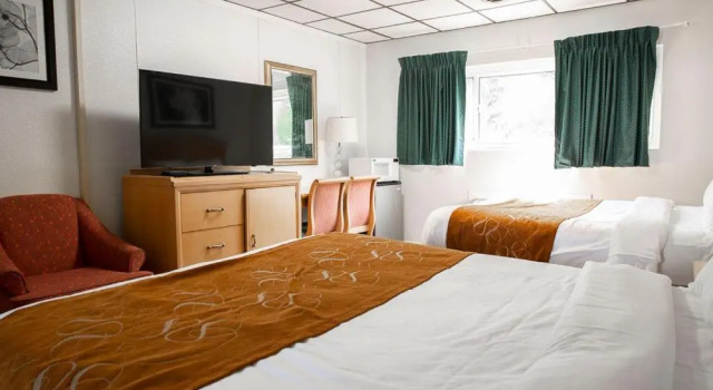 Четырёхместный номер Standard Bedford Motel