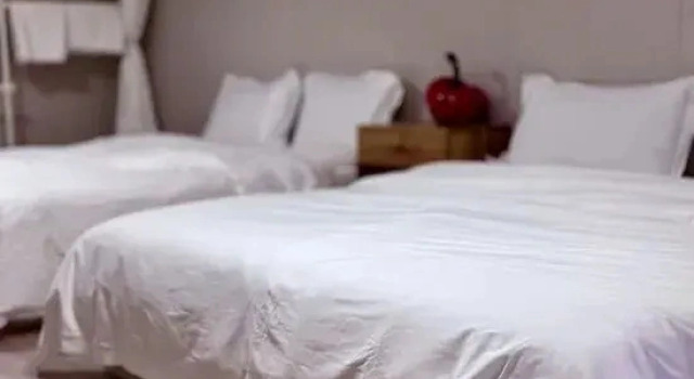 Люкс Business Vivi's childhood  hotel