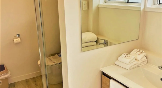 Люкс Ranfurly Evergreen Motel