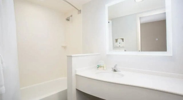 Четырёхместный номер Standard с видом на горы Holiday Inn Colorado Springs - Airport by IHG