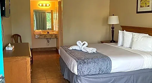 Номер Standard с видом на бассейн Altamonte Springs Hotel and Suites