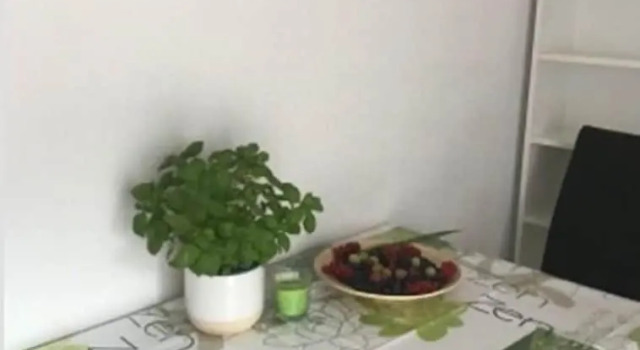 Oftersheim Apartment, Prenota Appartamento Oftersheim Baden-Württemberg