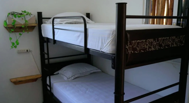 Coelum - Hostel, Book Hostel Hostels in Tulum, Hostel