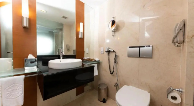 Двухместный номер Deluxe с видом на город Taj Samudra, Colombo