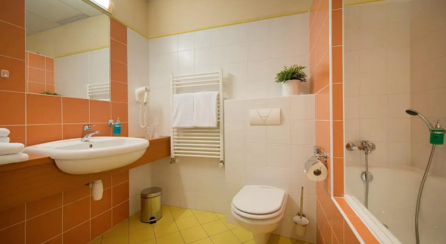 Одноместный номер Comfort Hotel Grand Litava Beroun