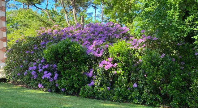 Вилла Superior L’Oasis au milieu de la Forêt
