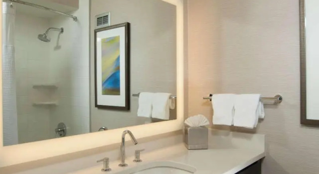 Номер Standard Hilton Albany