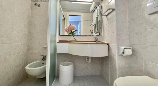 Двухместный номер Economy Hotel Maestri