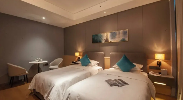 Camera doppia Luxury SSAW Boutique Hotel Wenzhou Dexin
