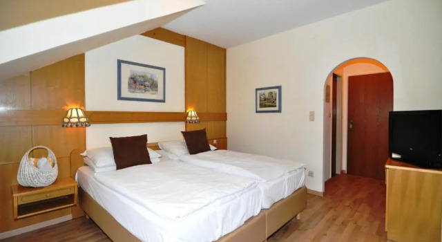Трёхместный номер Standard Hotel Wienerwaldhof