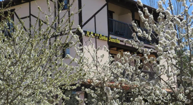 Номер Standard Hotel Doña Sancha