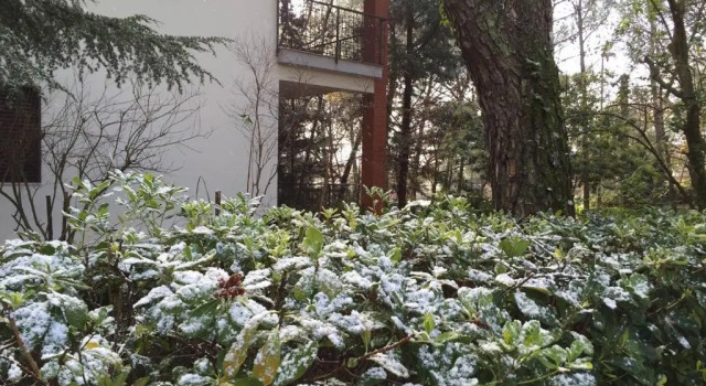 Вилла Villa sull'Etna immersa nel bosco