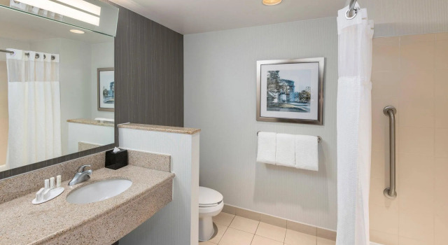 Двухместный номер Standard Residence Inn by Marriott Philadelphia Valley Forge/Collegeville