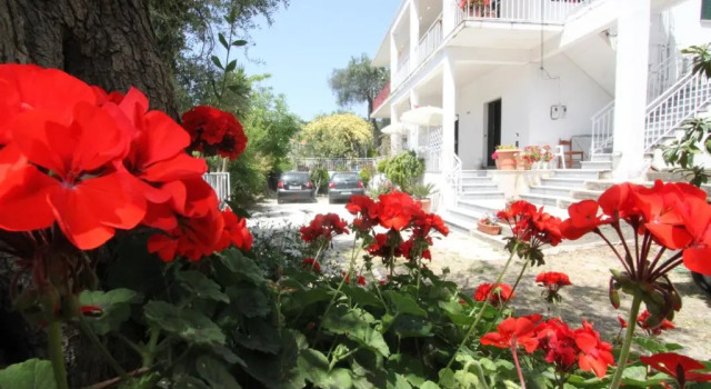 Angeliki Studio and Apartment