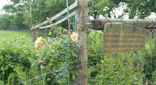 The Old Deer House