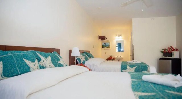 Двухместный номер Standard с видом на бассейн Orange Hill Beach Inn