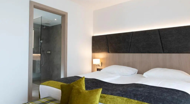Номер Superior Hotel Plattenwirt