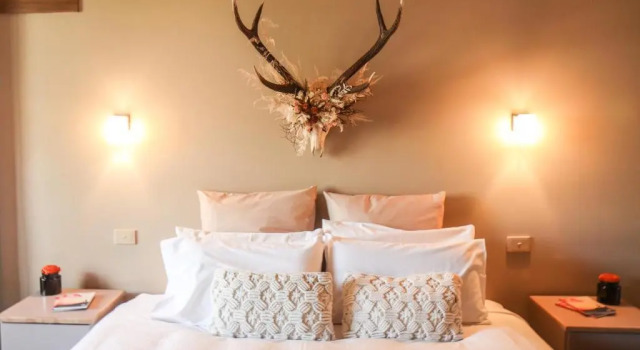 Номер Standard Hotel High Plains